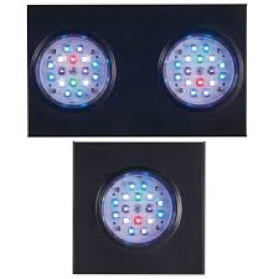 LED - SQL 50MW